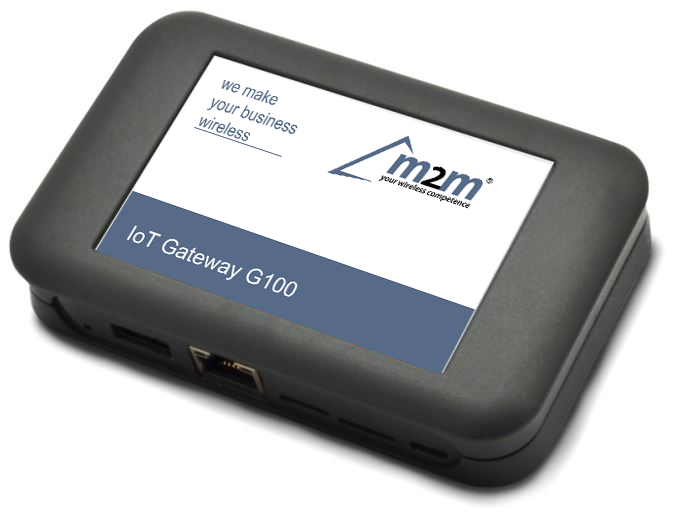 IoT Gateway G100